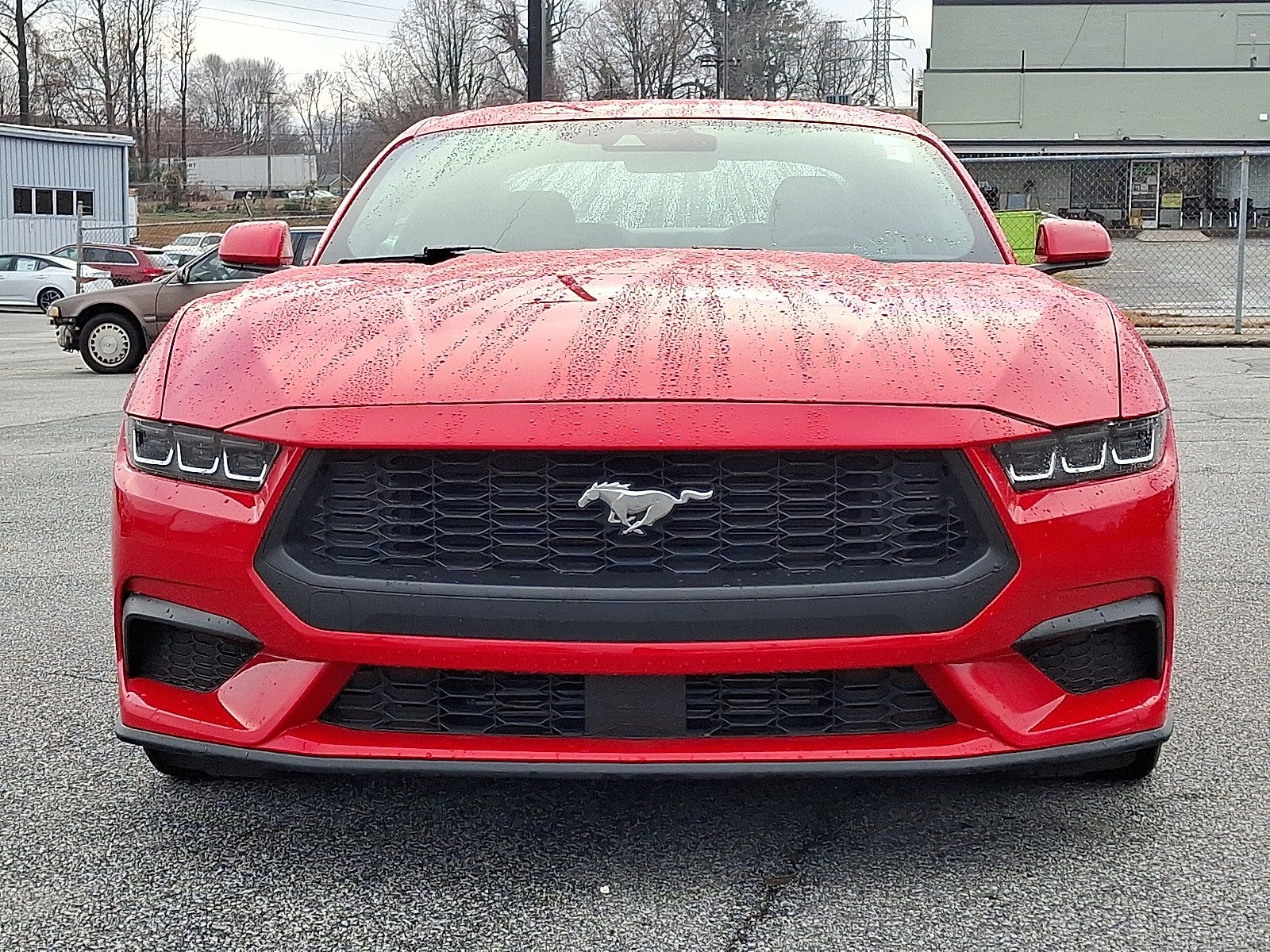 2024 Ford Mustang EcoBoost